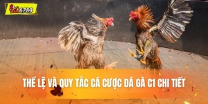 Thể lệ và quy tắc cá cược đá gà C1 chi tiết tại Ga6789