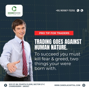 What to Expect from the Best Stock Market Institute in Chandigarh: Courses, Trainers & More