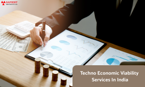 The Importance of Techno Economic Viability Services in India for Growth