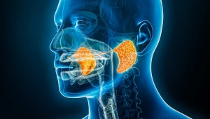 Salivary Gland Infection Market to Grow Owing to Biologics