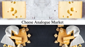 Cheese Analogue Market Size, Share, Growth Potential and Industry Forecast by 2032
