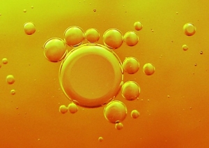 Single Cell Oil Market will grow at highest pace to increasing demand for sustainable and healthy food products