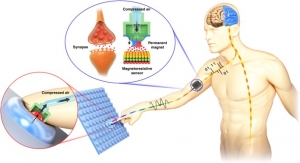 The Italy Tactile Sensor Market: Growth, Innovation, and the Role of ALPS Electric (Cirque Corporation)