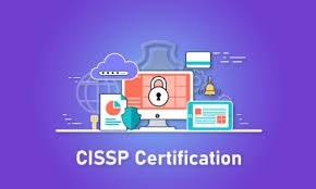 Master Your Cybersecurity Career with CISSP Training Online