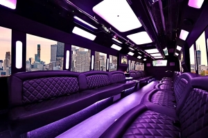 Party Bus Services in Arlington 