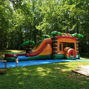 Planning the Perfect Party with Bounce Houses in San Diego: Tips, Challenges, and Real-World Insights