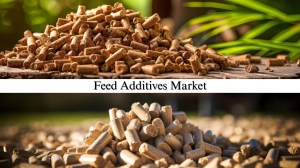 Feed Additives Market Size, Share, Industry Outlook and Global Forecast by 2032