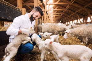 Feed and Livestock Services in India – Enpro Feeds