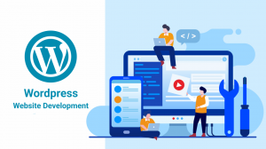 Step-by-Step Guide to Working with a WordPress Developer in Delhi