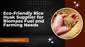 Eco-Friendly Rice Husk Supplier for Biomass Fuel and Farming Needs