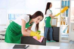 Non-Toxic, Sparkling Clean Homes with Green Cleaning Services 