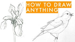 LearnToDraw: Unlocking the Artist 