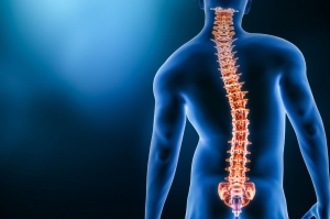 Understanding Scoliosis Treatment: What You Should Know