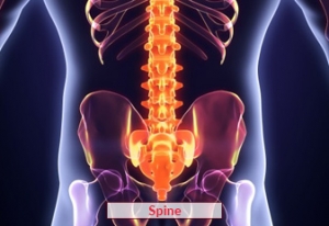 Spine Surgery in India – Advanced, Affordable & Globally Trusted