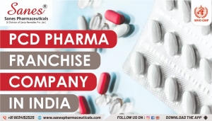 Best Ways to Finance Your PCD Pharma Franchise Startup