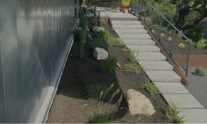 Expert Irrigation Repairs in Texas: Protecting Your Landscape with Native Frontier