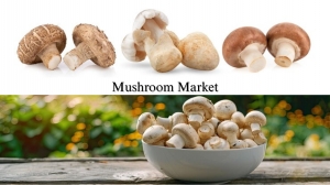 Mushroom Market Size, Share, Market Trends and Development Forecast to 2032