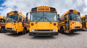 Planning A School Trip? Here’s Why You Should Rent A School Bus