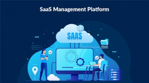 Managing the SaaS Explosion: A Strategic Imperative for Organizations