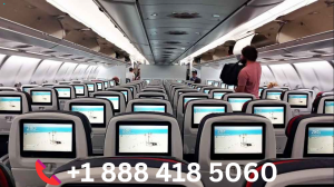 Can I Cancel Qatar Airways Ticket After Check-in?