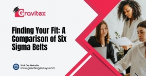 Finding Your Fit: A Comparison of Six Sigma Belts