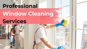 Clear Views, Cleaner Spaces: The Complete Guide to Professional Window Cleaning Services