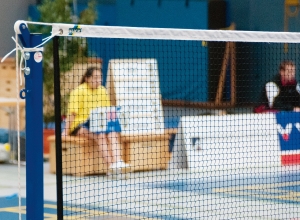 Professional Badminton Net Outdoor: Essential Guide for Players