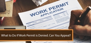 Reunite in the UK with Immigration Solicitors4me: Expert EEA Family Permit Guidance