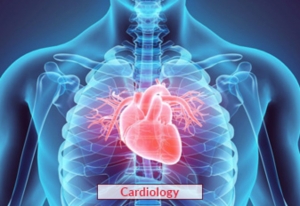 Comprehensive Guide to Heart Treatment in India: Procedures, Costs & Benefits