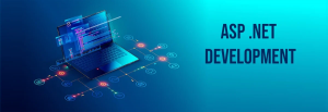 Choosing the Right ASP.NET Core Consultant: A Smart Guide for Modern Businesses