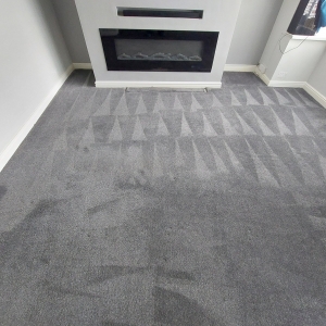 Why A Leeds Professional Carpet Cleaner Is Worth Every Penny