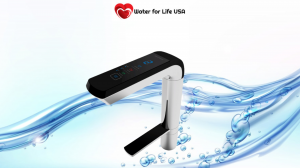 Maximizing Health Benefits: Tips to Choose Ionized Water Filter