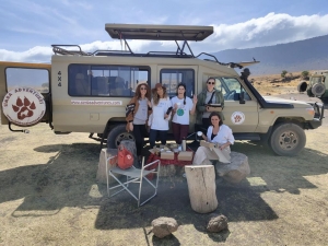 Tanzania Safari Packages - What to Expect and When to Go