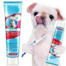 What Quality Pet Hygiene Products You Need for Bathing Pets 