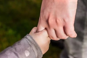 A Child Support Case Worker plays a pivotal role in ensuring that children receive the financial support they are entitled to, requiring a strong understanding of laws and procedures