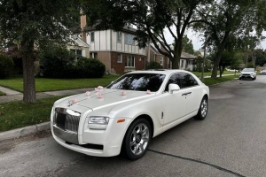Wedding Transportation Service in Schaumburg 1
