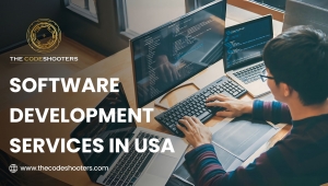 The Role of a Software Development Agency In USA in Business Growth