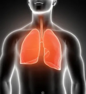 Global Bronchitis Treatment Market Accelerates with Innovation in Respiratory Care