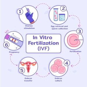 In Vitro Fertilization Market: Ethical Considerations and Regulatory Challenges