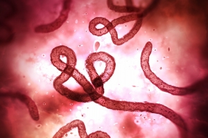 Ebola Fever Therapeutic Market to Grow Owing to Monoclonal Advances 