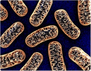 X-linked Hypophosphatemia Market to Grow at Highest Pace Owing to Innovative Gene Therapies