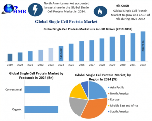 Single Cell Protein Industry Overview: Market Size, Share & Revenue Forecast 2032