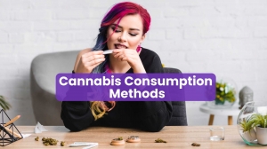 An Ultimate Guide to Cannabis Consumption Methods