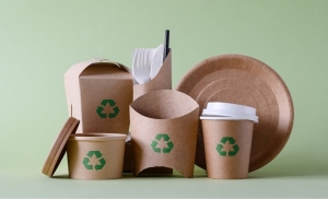South Korea Biodegradable Packaging Market to Surge on E-Commerce Demand