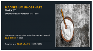Magnesium Phosphate Market Trend, Top Growth Companies and Industry Forecast, 2025-2030