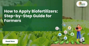 How to Apply Biofertilizers: Step-by-Step Guide for Farmers