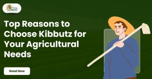 Top Reasons to Choose Kibbutz for Your Agricultural Needs
