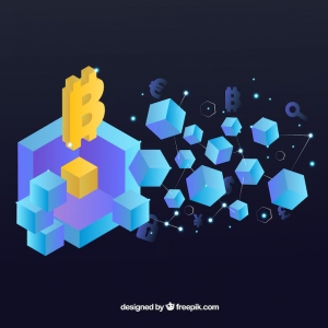 How to Become a Successful Blockchain Developer in 2025