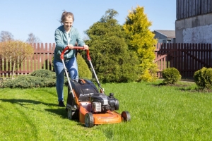 Benefits of choosing a Professional for your lawn care in spring valley. 