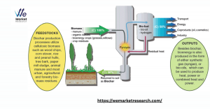 Biochar Market in Carbon Credit and Offset Markets